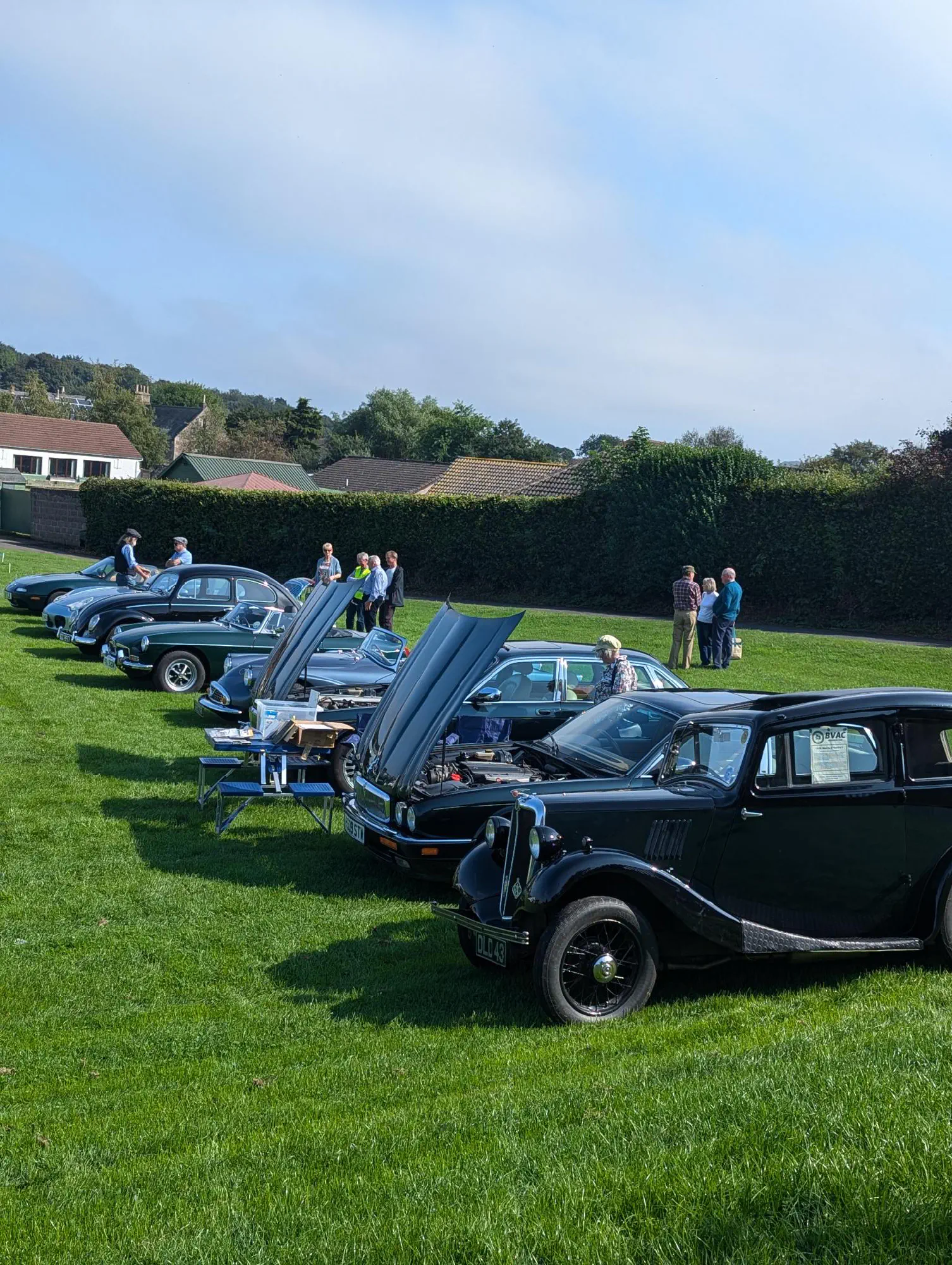 A row of vintage cars parked on the field at last year’s show